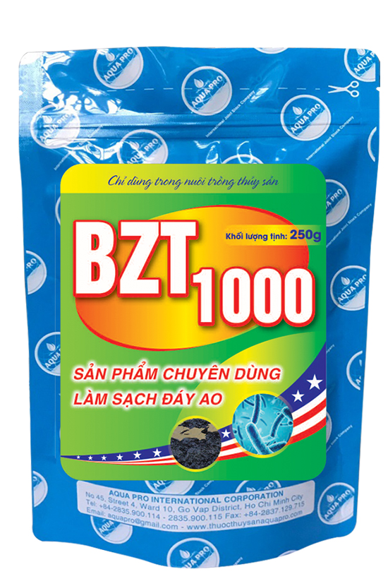 BZT 1000
